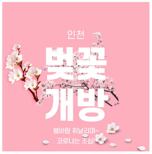  인천 벚꽃 명소들 개방. 인천대공원, 월미공원, 수봉공원 등