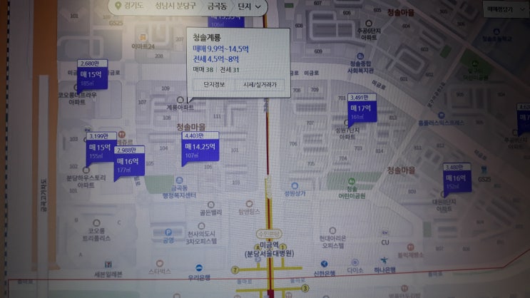  성남시 분당구 아파트 갭투자 현황과 투자금액