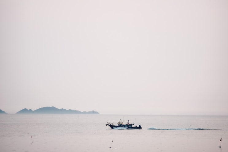  초판본 하늘과 바람과 별과 시(소와다리, 윤동주) 기본정보 리뷰