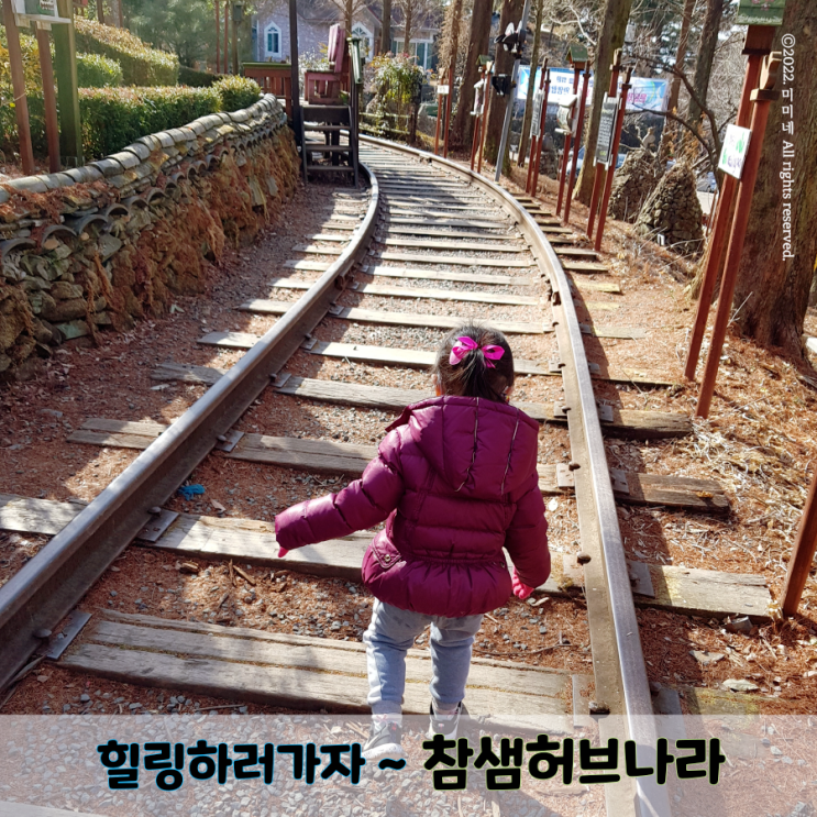  부산근교 가볼만한곳 - 밀양 참샘허브나라 토끼먹이주기 눈썰매장