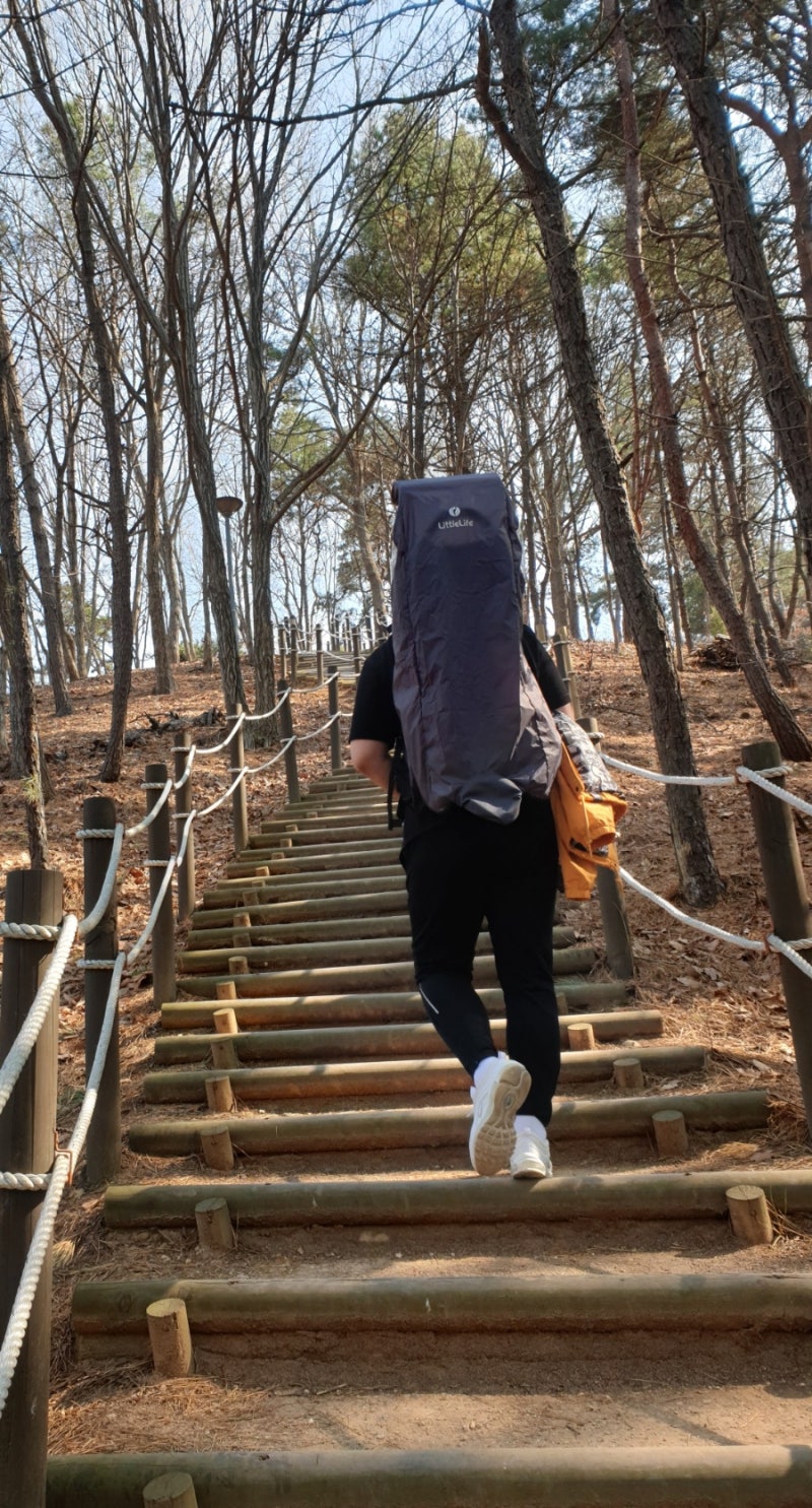 리틀라이프 아기 유아 등산 캐리어 레인져 S2