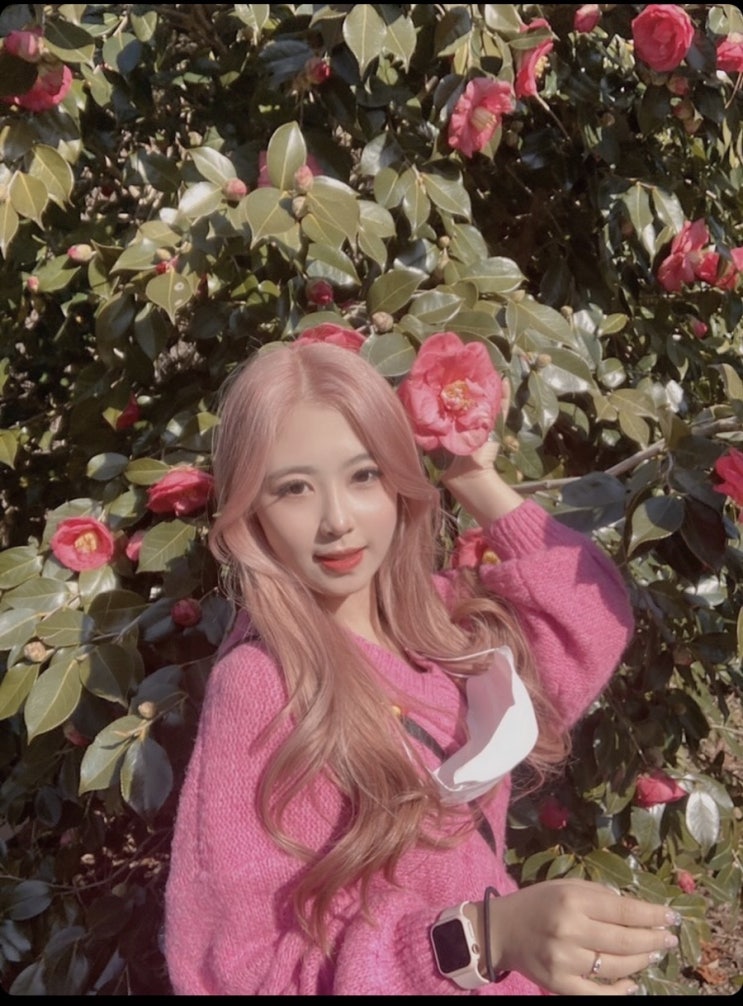 애쉬핑크염색