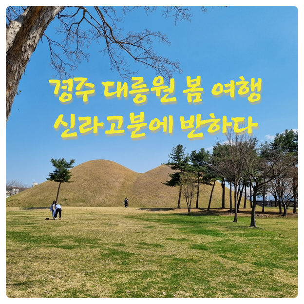  경주 대릉원 봄 여행_신라 고분에 반하다
