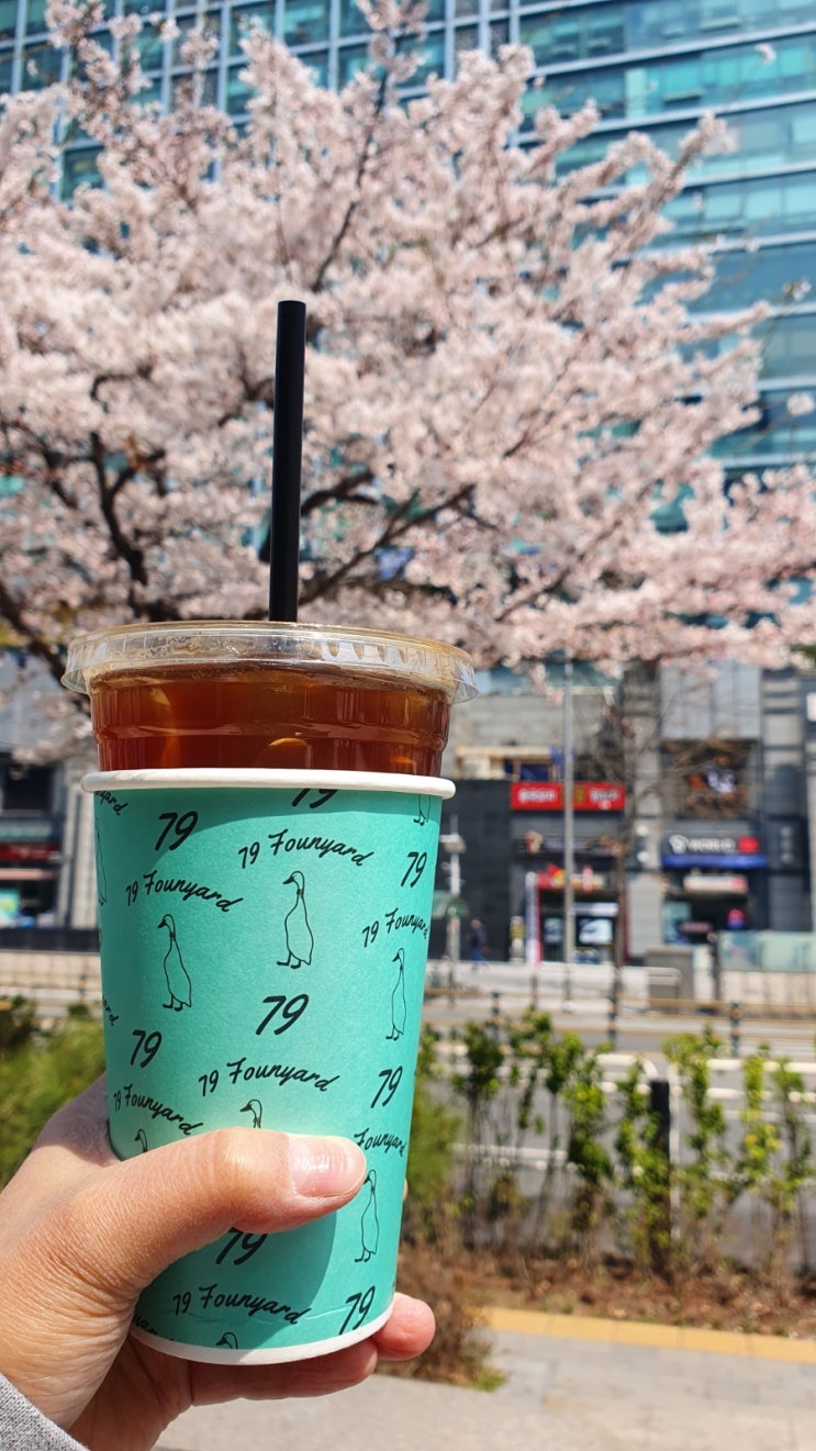  [일상] 우와, 봄이다