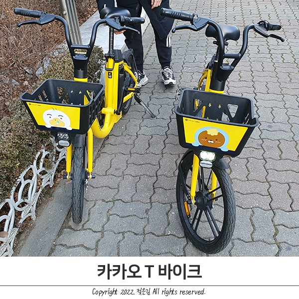 청주 카카오 자전거 T 바이크 요금과 사용 방법, 장단점