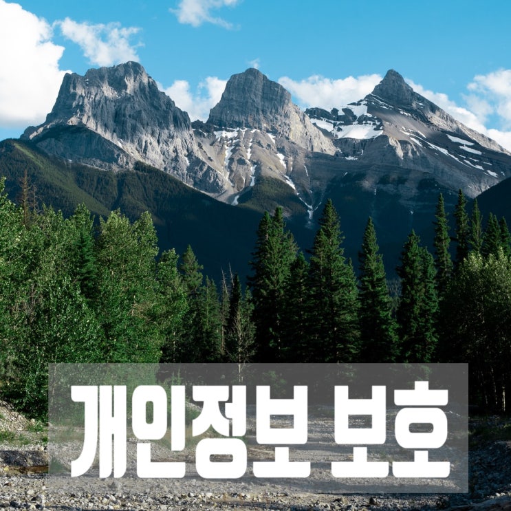  개인 정보 보호와 연락처 확인의 어려움에 대하여(대전광역시 중구 태평동 삼부아파트 51동, 이O식님을 찾습니다)