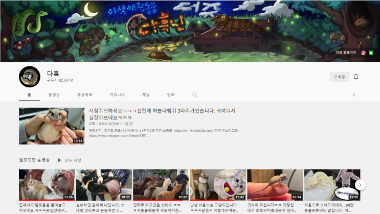  다흑 (이색 애완동물,파충류,뱀,곤충 등 모든 동물)