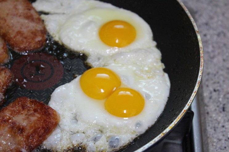 계란 쌍란은 어떻게 왜 생기는 걸까? 집에서 달걀후라이 쌍란요리