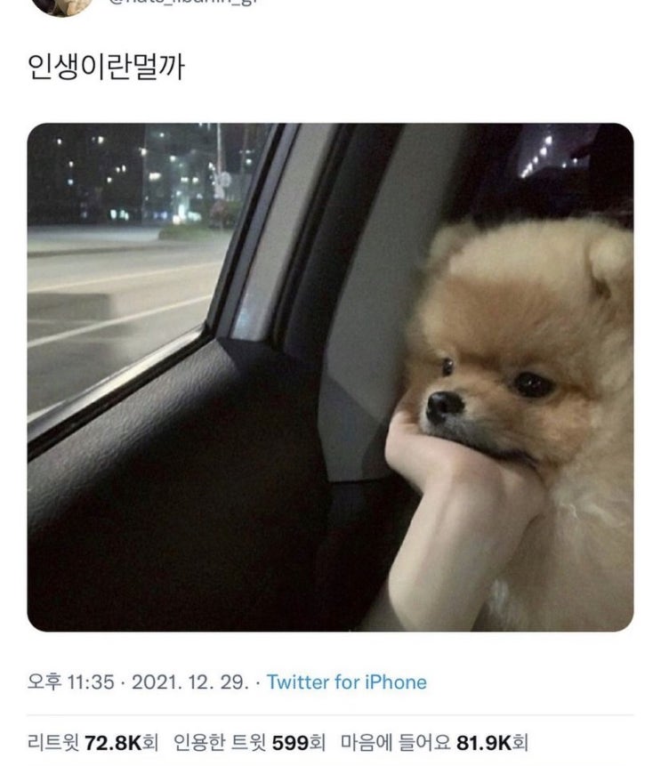  3월 셋째 주 일상