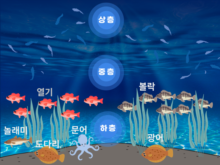  바다낚시터  초보낚시입문가이드 3가지는 알고 가기!(수심층별 물고기)