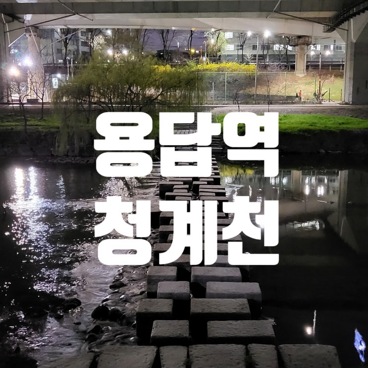  서울벚꽃명소 ::용답역 청계천 하동매실거리:: 지금 그곳엔 벚꽃이 피었을까(3탄)