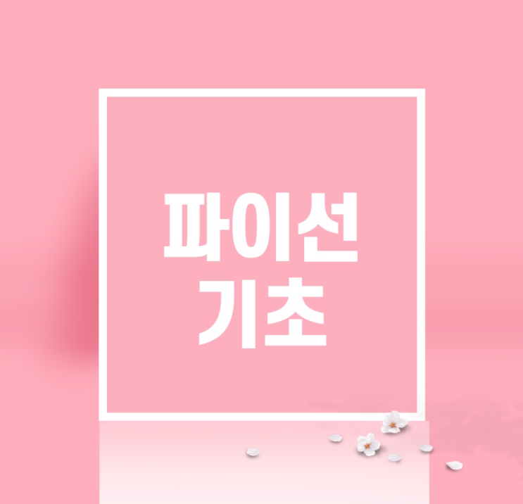 파이선기초 한달만에 배우는 방법 파이선기초 한달만에 배우는 방법