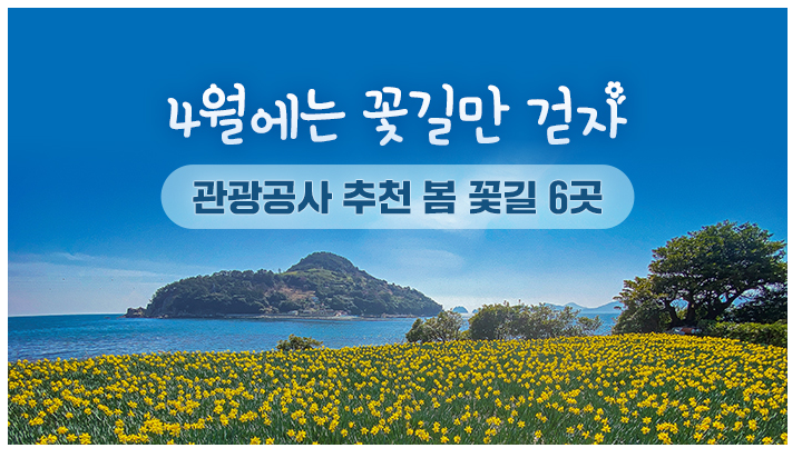 4월에는 꽃길만 걷자…관광공사 추천 봄 꽃길 6곳 4월에는 꽃길만 걷자…관광공사 추천 봄 꽃길 6곳