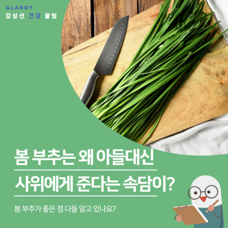  봄 부추는 아들 대신 사위에게 준다"라는 속담은 왜 생긴 걸까?