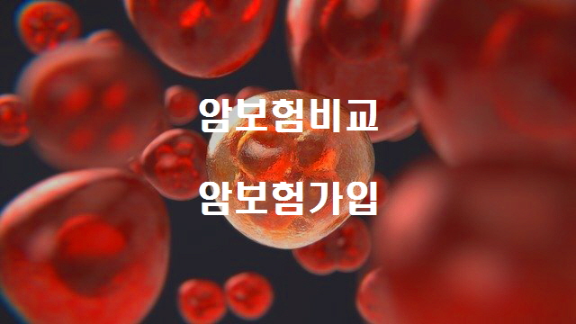  암보험 보장내용과 가입요령!, 암보험비교