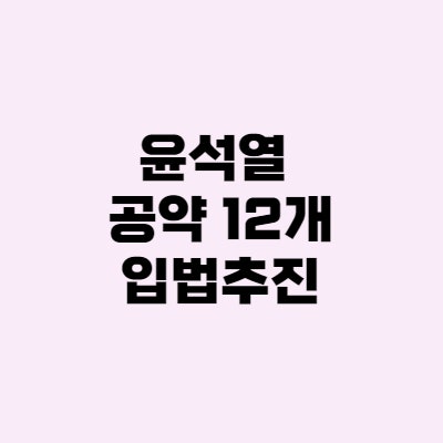 윤석열 기초연금… 공약 12개 입법 서두른다