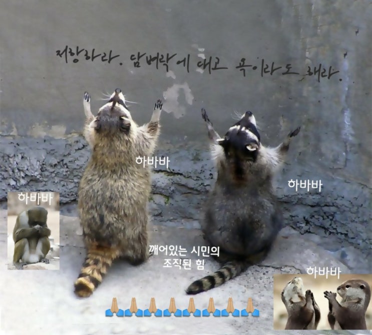  유시민 작가 '한동훈 명예훼손' 검찰 징역 1년 구형??
