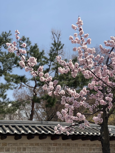  0406 운동기록