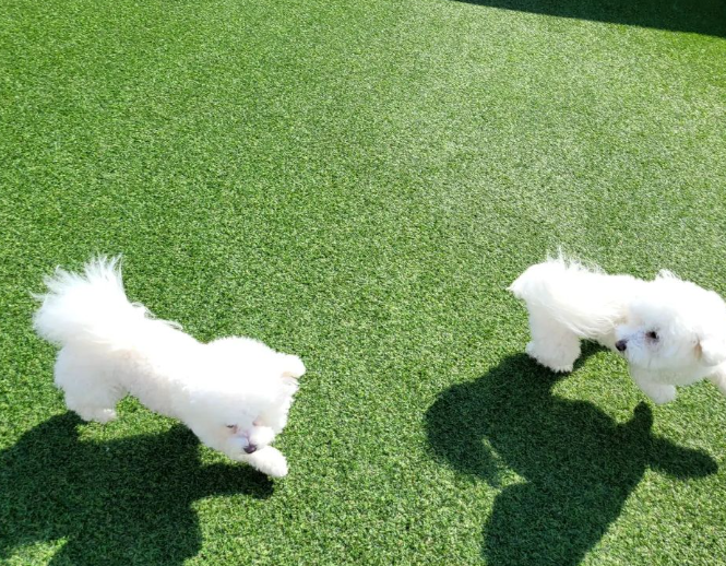 사진 3