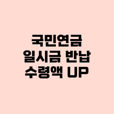 국민연금 예상수령액, 일시금 반납하면 더 받는다