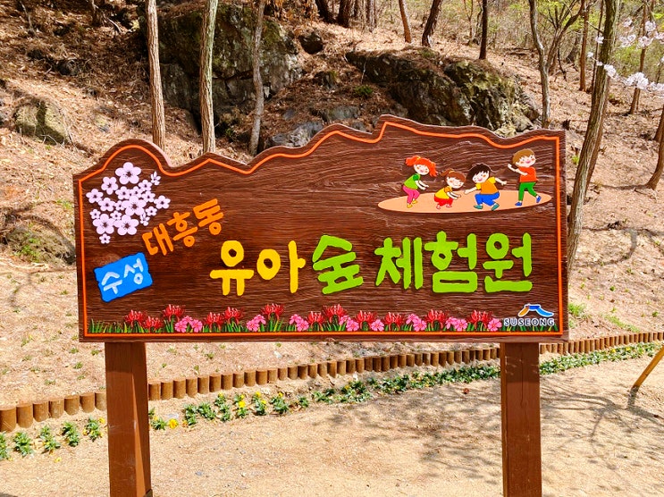 대구 아이와 가볼만한곳 수성구 대흥동 유아숲체험원