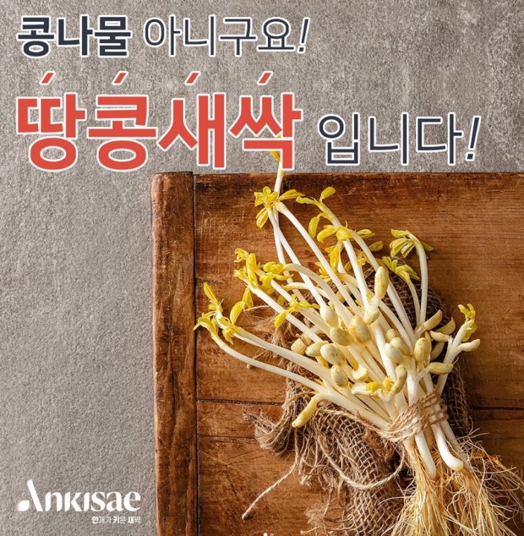  '새싹이든' 간편 식사대용으로 든든한 100%국내산 순식물성음료