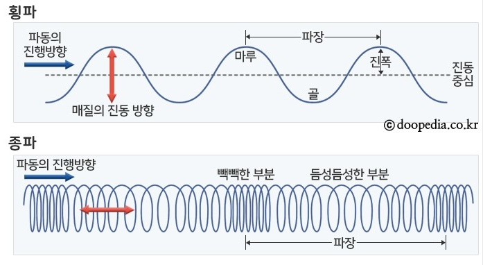 파동(종파, 횡파), 주파수 알아보기 : 네이버 블로그