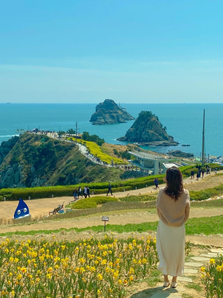  부산꽃구경<오륙도수선화,유채꽃, 스카이워크,해맞이공원, 인생샷 도전! >