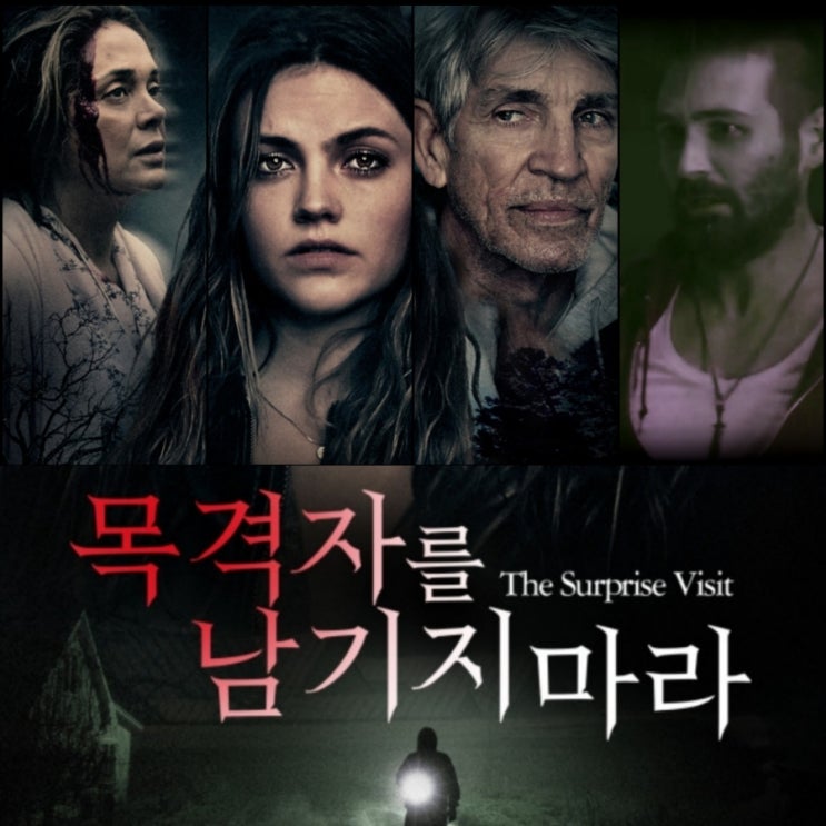 목격자를 남기지 마라 or 뜻밖의 방문 영화 출연진 및 정보  영화 리뷰