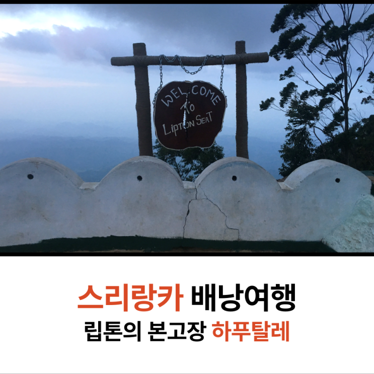  여자 배낭여행 스리랑카 하푸탈레 즐기기