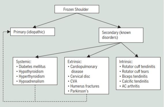  오십견[Frozen shoulder = Adhesive capsulitis] 정리 1편