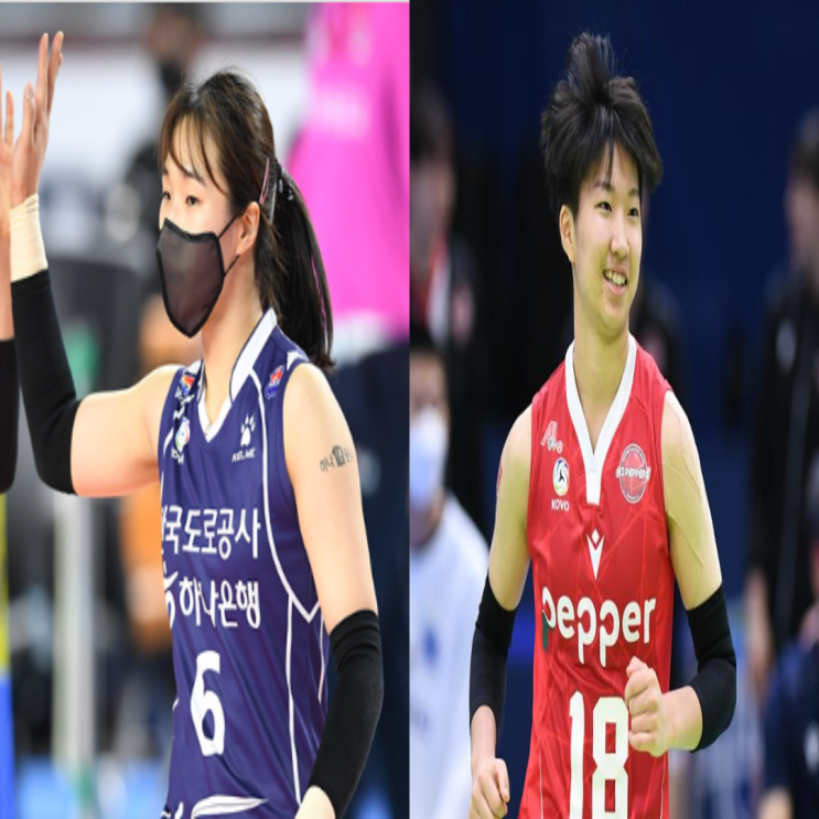 도로공사 이고은 보상선수로 김세인 지명(이고은이적, 김세인포지션, GS리베로 페퍼이적?)