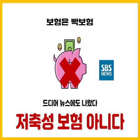  드디어 뉴스에 나온 종신보험으로 사기치는 설계사들