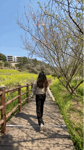  4월 어느날의 일상, 족발이닭엄마네식당 배달후기, 호근동 벚꽃