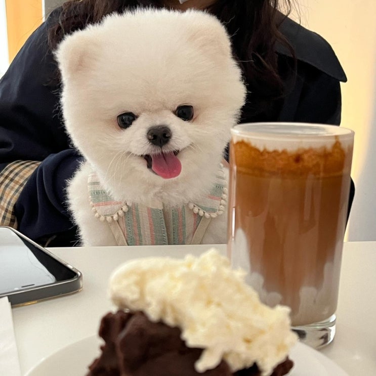  레오강쥐랑 카페투어