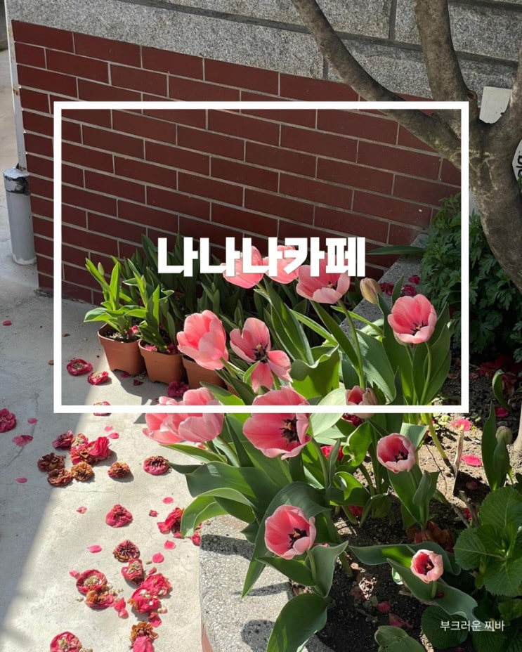  대전 가양동 카페 나나나카페 다녀왔음