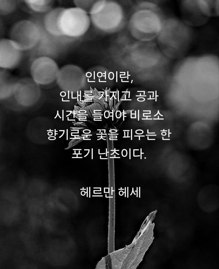 여섯번째, 만남이야기