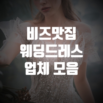  ️웨딩 드레스 업체 _ 비즈 맛집 모음