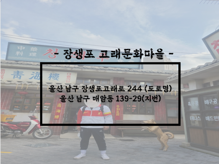  울산/남구 울산 가볼 만 한 곳 추천, 울산 여행지 추천, 울산 데이트 장소 추천, 장생포 고래문화마을