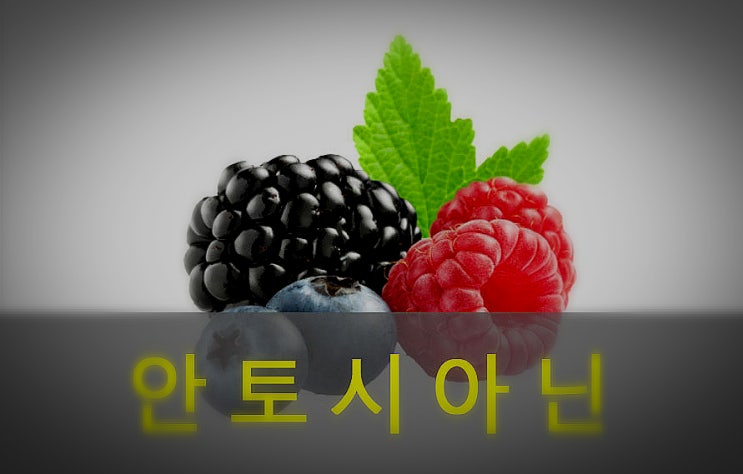  안토시아닌 효능(눈 건강, 항산화 작용, 성인병, 비만)과 음식