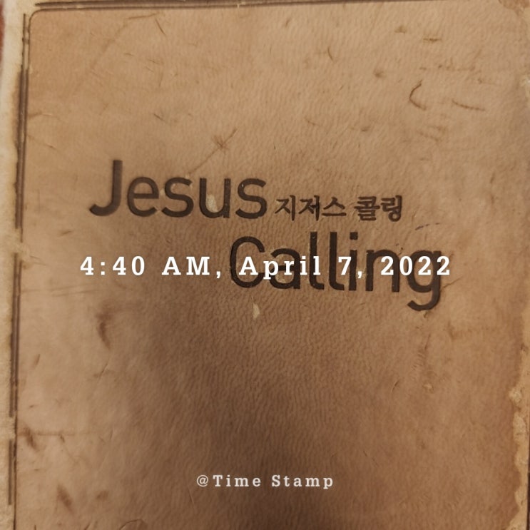  [감사일기]#428 기대