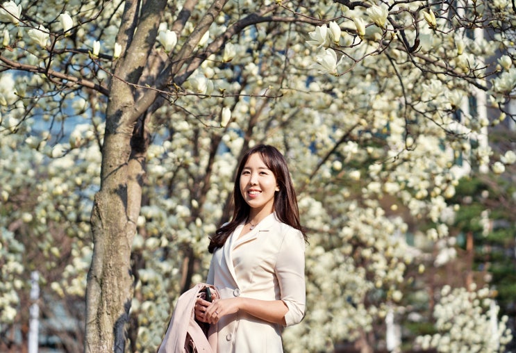  서울숲 벚꽃 개화현황, 서울숲 주말 주차, 주차요금 안내