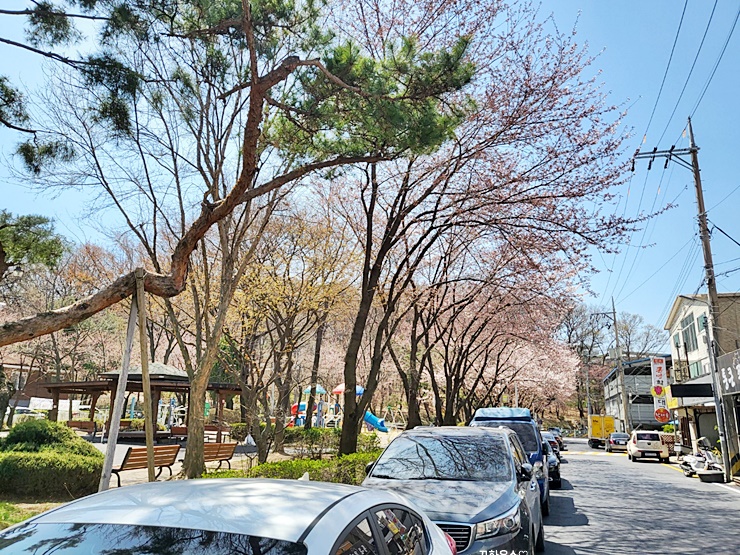  갑상선 세침검사 컨디션까지 나빠지네요