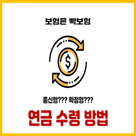  변액 연금보험 수령 나에게 맞는 확실한 두가지 방법