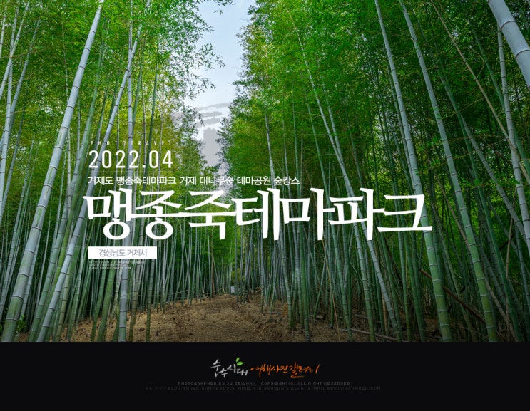  거제도 맹종죽테마파크 거제 대나무숲 테마공원 숲캉스