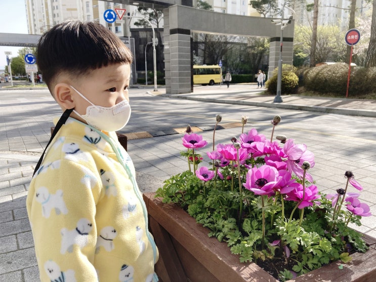 가정보육 2일차 29개월 육아일기 플라하반오트밀로 쿠키 만들기 가정보육 2일차 29개월 육아일기 플라하반오트밀로 쿠키 만들기