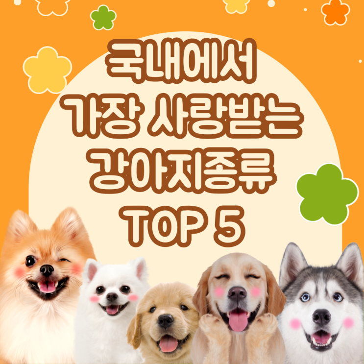  강아지종류 중 가장 사랑받는 TOP 5 알아보자!