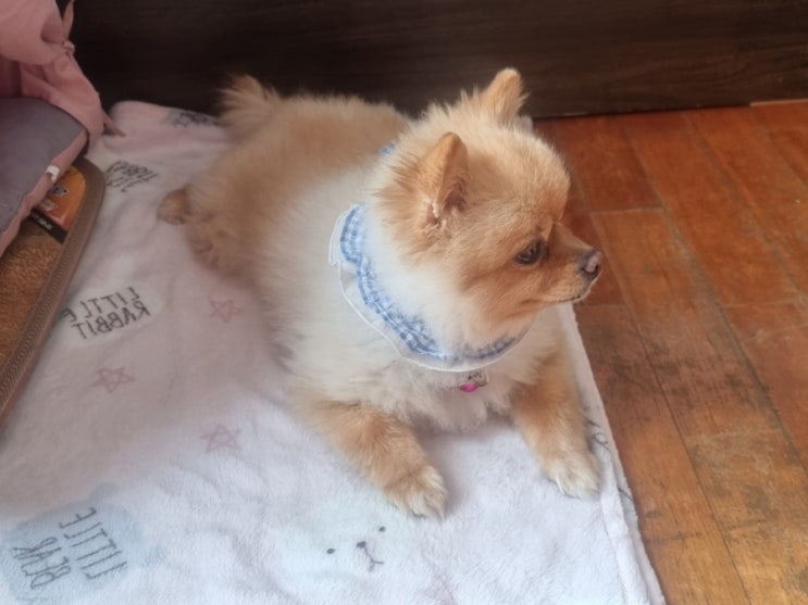  엄마 기다리고 있는 사랑이