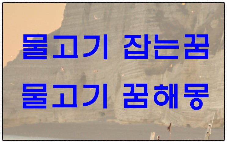  행동별 물고기 잡는꿈 물고기 꿈, 완벽한 해몽 총정리