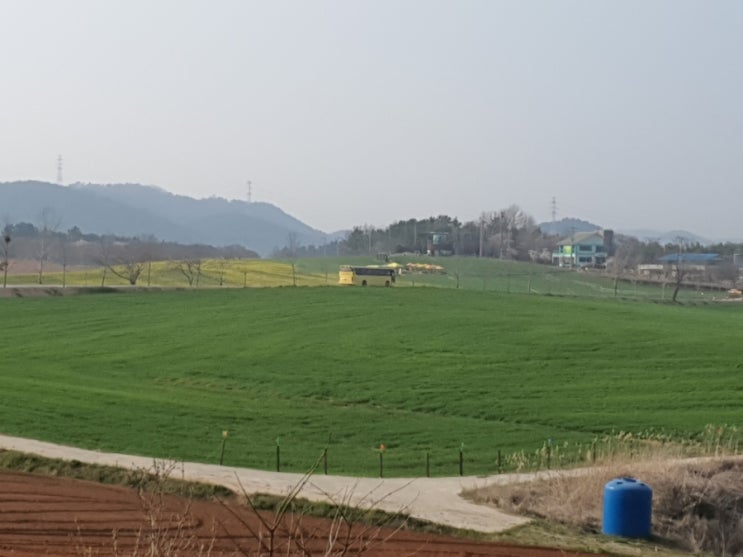 노란 버스 노란 버스